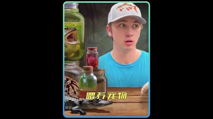 這些稀有品種的飼養(yǎng)難度如何？