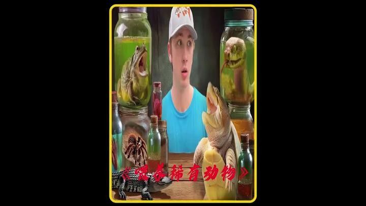 這些稀有品種的飼養(yǎng)難度如何？