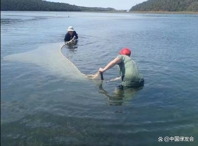 海龍科中極危物種有哪些