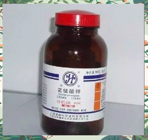 高錳酸鉀治療龍魚爛尾的注意事項