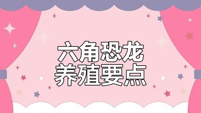 如何科學飼養六角恐龍魚？（六角恐龍飼養六角恐龍魚需要遵循一些疾病的步驟和注意事項）