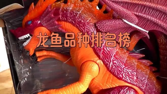微山哪個水族館龍魚好？祥龍魚場龍魚（山的龍魚愛好者們，你們是否在尋找一個能夠展示和欣賞龍魚之美的地方？）