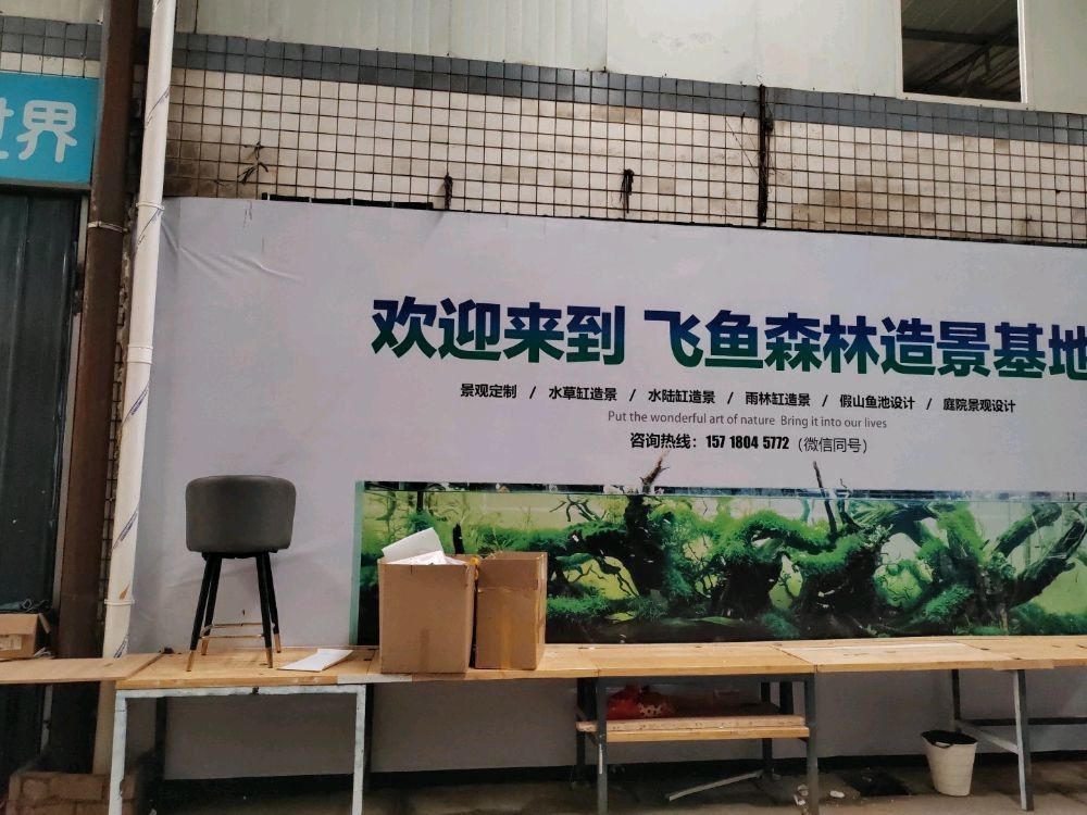 錦江哪個水族館龍魚好？祥龍魚場龍魚（廣州龍魚祥龍魚場·進口元寶鳳凰魚場）