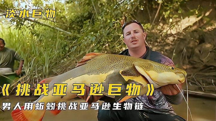 鐵甲武士魚混養案例分享（鐵甲武士混養案例分享）