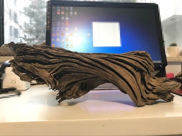 哪種沉木適合龍魚缸（適合龍魚缸的幾種沉木類型及其特點及其特點及其特點）