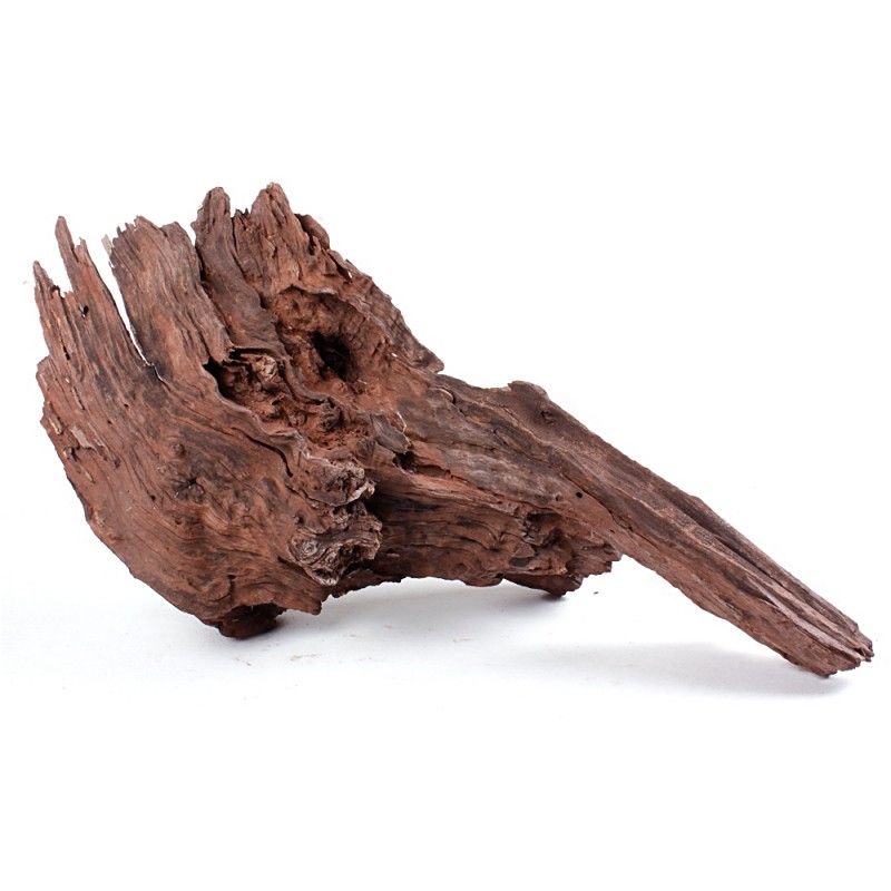 哪種沉木適合龍魚缸（適合龍魚缸的幾種沉木類型及其特點及其特點及其特點）