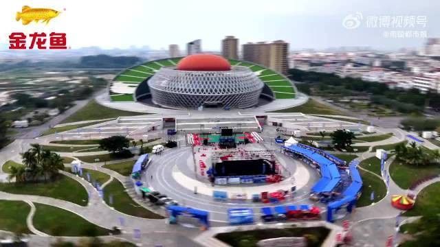 金龍魚還參與過哪些其他賽事？（金龍魚助力鄉(xiāng)村體育賽事）