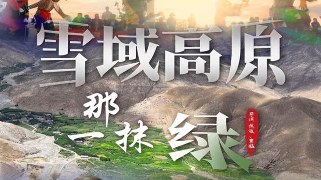 哪里可以觀看這些紀錄片（優酷紀錄片觀看紀錄片在哪看記住5個平臺就夠了） 哪里可以觀看這些紀錄片（優酷紀錄片觀看紀錄片在哪看記住5個平臺就夠了） 龍魚百科 第2張