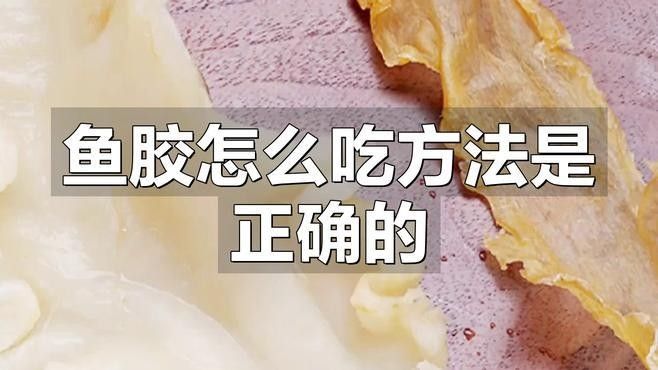 金龍魚膠的滋補功效（金龍魚膠的功效和作用）