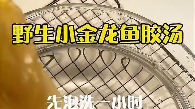 金龍魚膠的滋補功效（金龍魚膠的功效和作用）