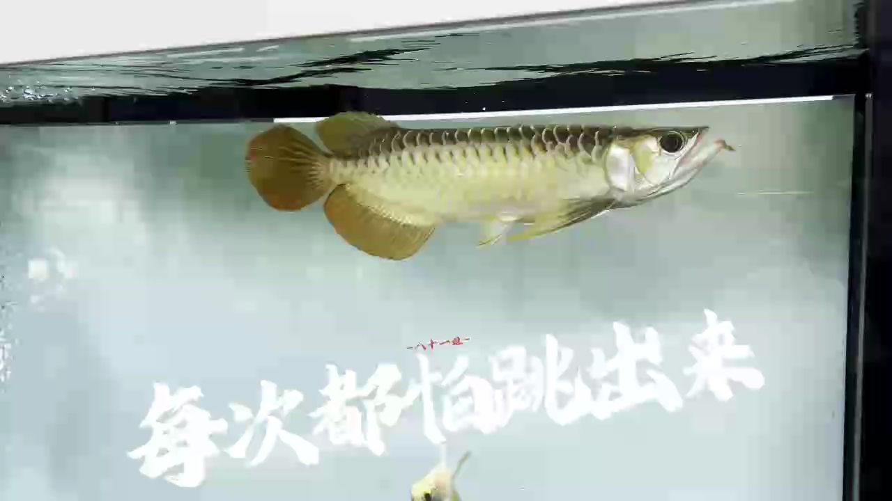 值得培養（培養值得的特質）