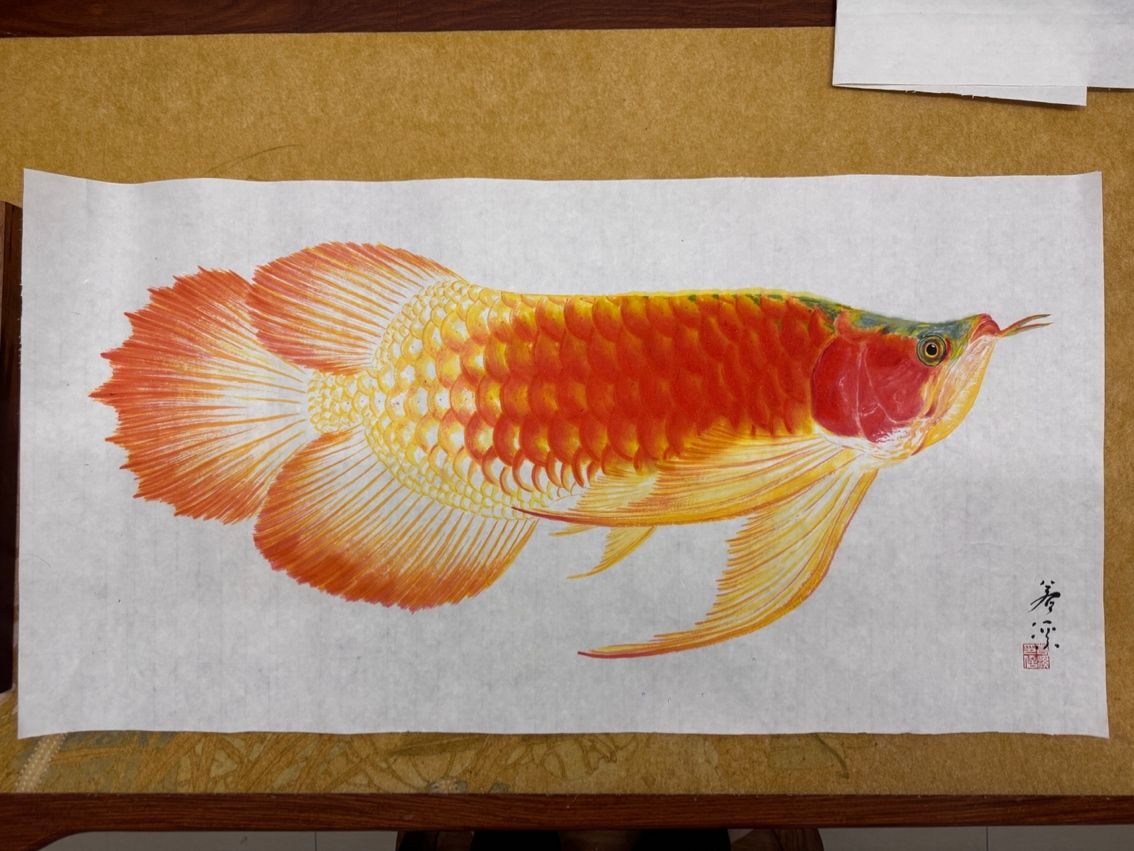 龍魚小寫意（魚小寫意——龍魚）