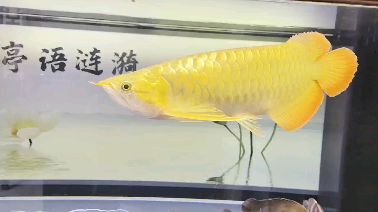 堅持愛好（堅持愛好對個人和社會的積極影響）