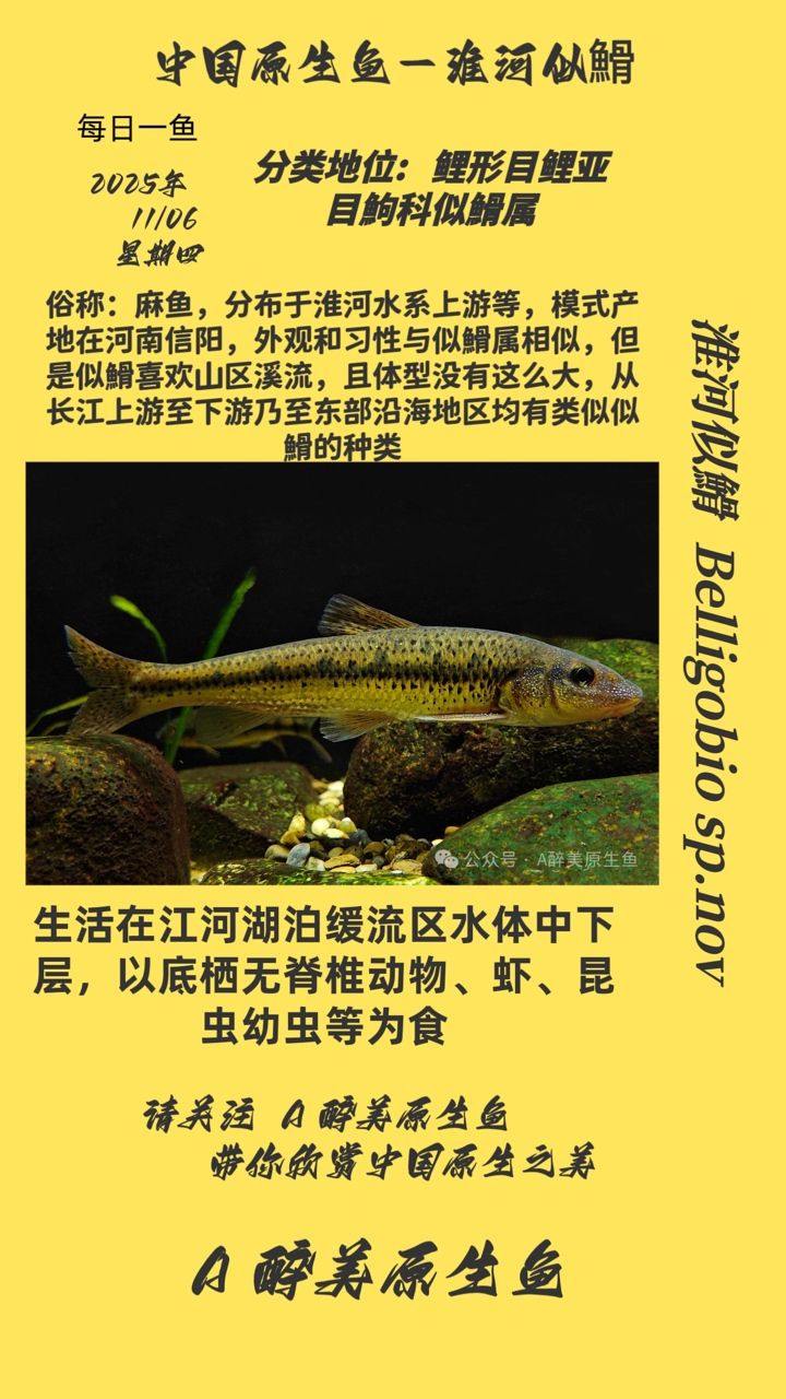 淮河似?（中國(guó)東部的重要河流之一淮河流域是中國(guó)重要的工業(yè)基地之一）