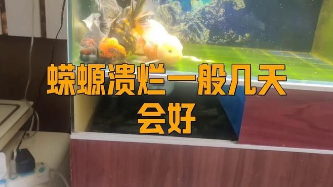 東方蠑螈的皮膚破損會有哪些癥狀（東方蠑螈的皮膚破損的癥狀和原因分析）