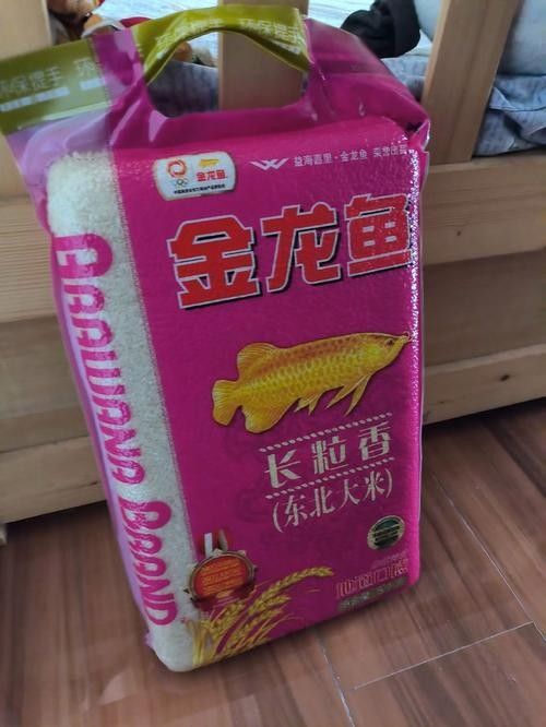 金龍魚(yú)的市場(chǎng)價(jià)格大概是多少（金龍魚(yú)價(jià)格多少一條） 金龍魚(yú)的市場(chǎng)價(jià)格大概是多少（金龍魚(yú)價(jià)格多少一條） 龍魚(yú)百科 第5張