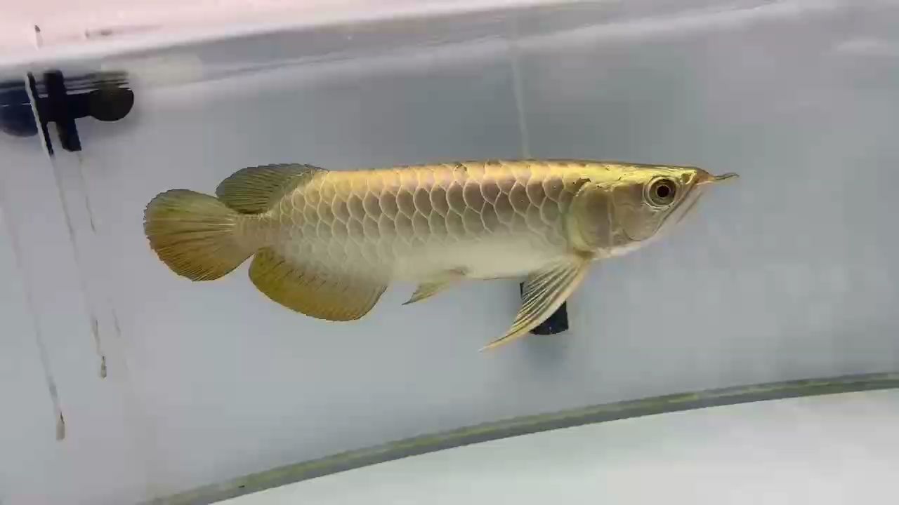 好久不見（久別重逢是一種情感體驗）