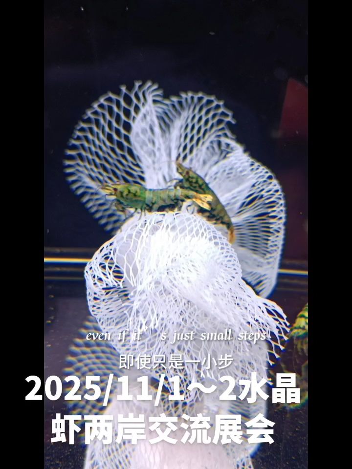 2025海峽兩岸水晶蝦交流展會（025海峽兩岸水晶蝦交流展會）