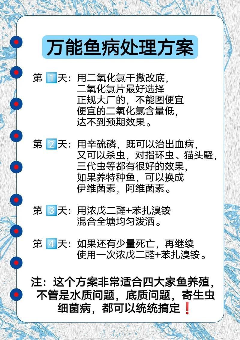 如何預防龍魚因溫差導致的疾病（龍魚飼養指南）