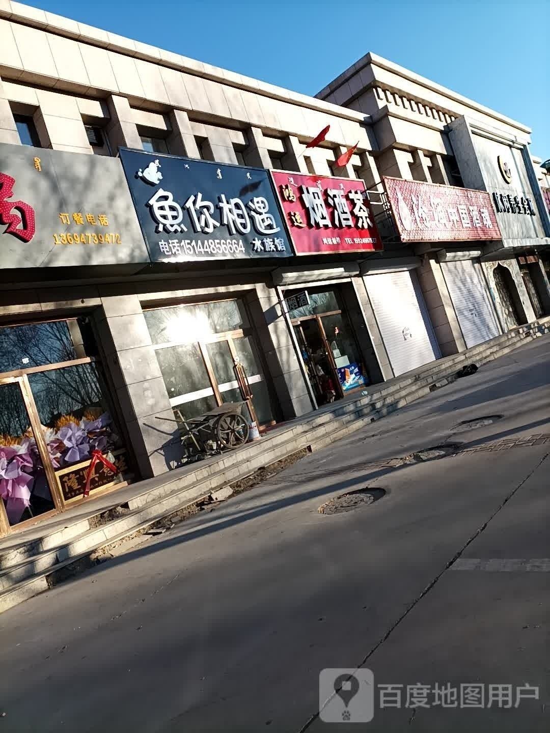 涼城哪個水族館龍魚好？祥龍魚場龍魚（烏蘭察布市涼城祥龍水族館和魚場提供高品質龍魚及相關服務）