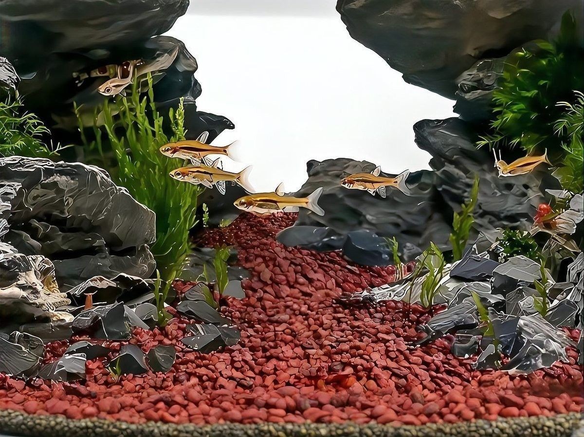 火山巖在繁殖缸中的使用方法（火山石放魚缸的正確打開方式，）