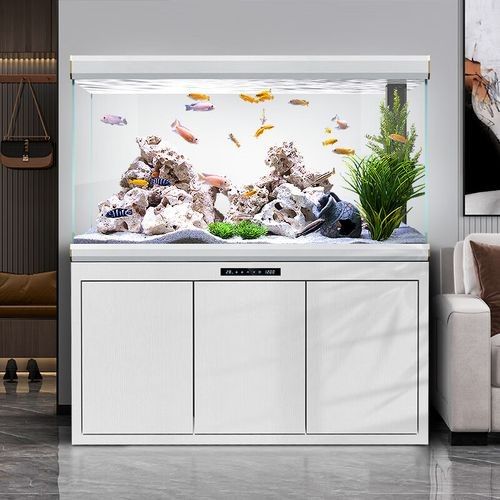 漢霸龍魚缸有哪些型號可選？（漢霸大型龍魚缸客廳家用辦公室智能魚缸）