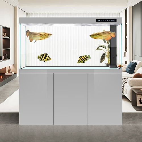 漢霸龍魚缸有哪些型號可選？（漢霸大型龍魚缸客廳家用辦公室智能魚缸）