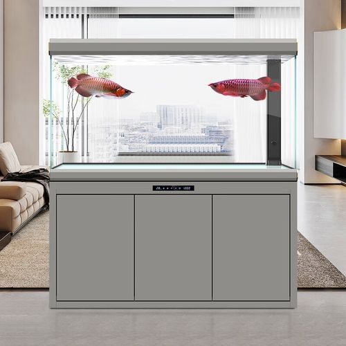 漢霸龍魚缸有哪些型號可選？（漢霸大型龍魚缸客廳家用辦公室智能魚缸）