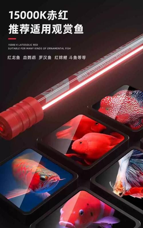 NEC龍魚燈有哪些型號(hào)（nec龍魚燈專用燈管金紅龍專用燈管金紅龍專用燈）