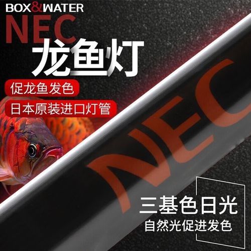 NEC龍魚燈有哪些型號(hào)（nec龍魚燈專用燈管金紅龍專用燈管金紅龍專用燈）