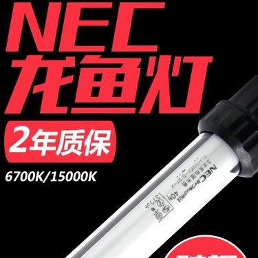 NEC龍魚燈有哪些型號(hào)（nec龍魚燈專用燈管金紅龍專用燈管金紅龍專用燈）