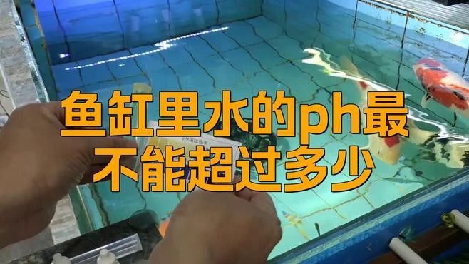 龍魚缸pH值偏高會自愈嗎？（魚缸ph值偏高怎么辦）