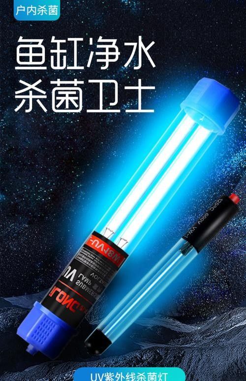 白子招財龍魚怎么養：白子招財龍魚的常見疾病解析（養殖白子招財龍魚的注意事項）