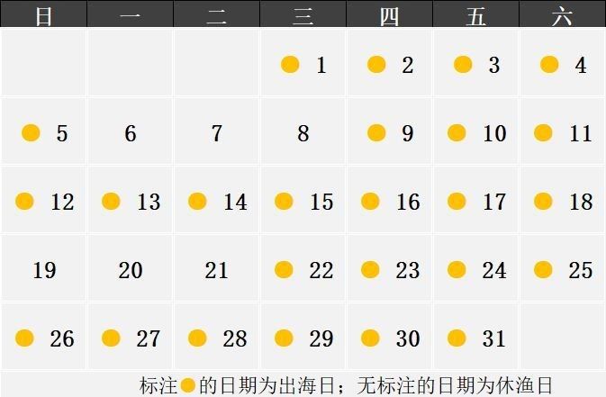 聊城龍魚市場周末營業嗎（聊城龍魚市場周末營業情況分析）