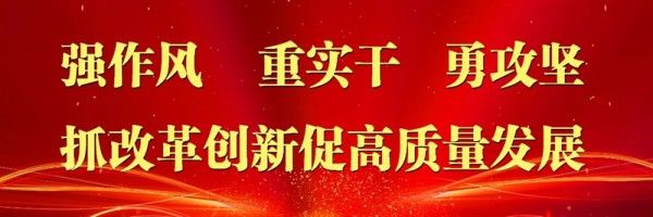 聊城龍魚市場周末營業嗎（聊城龍魚市場周末營業情況分析）