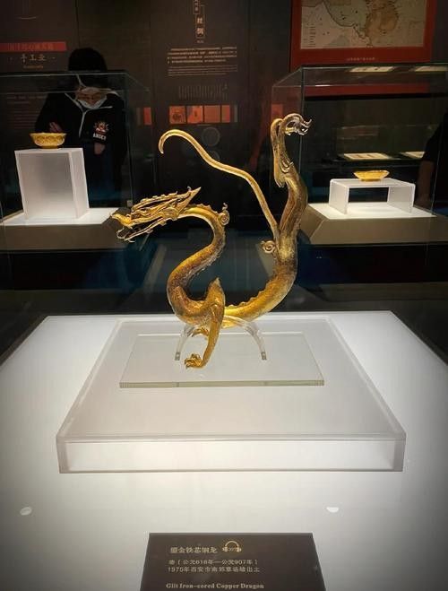 還有哪些唐代金龍值得一看？（在博物館感受唐代金龍之美光明網）