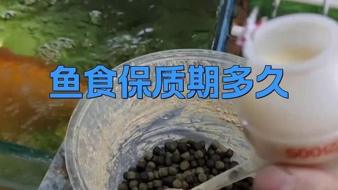 散裝金龍魚飼料如何保存更久（散裝金龍魚飼料保質期一般多久魚飼料過了保質期還能吃嗎）