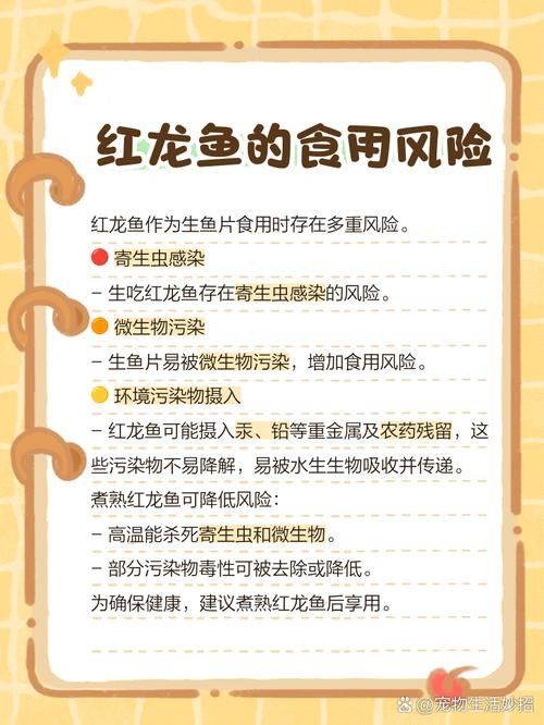 辣椒紅龍魚的食物選擇（養魚小藝紅龍魚需要注意什么看這一篇就夠了）