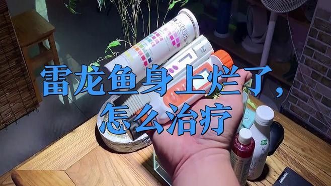 如何預防雷龍魚苗生病？（雷龍魚怎么養揭秘雷龍魚養殖的四大黃金法則）