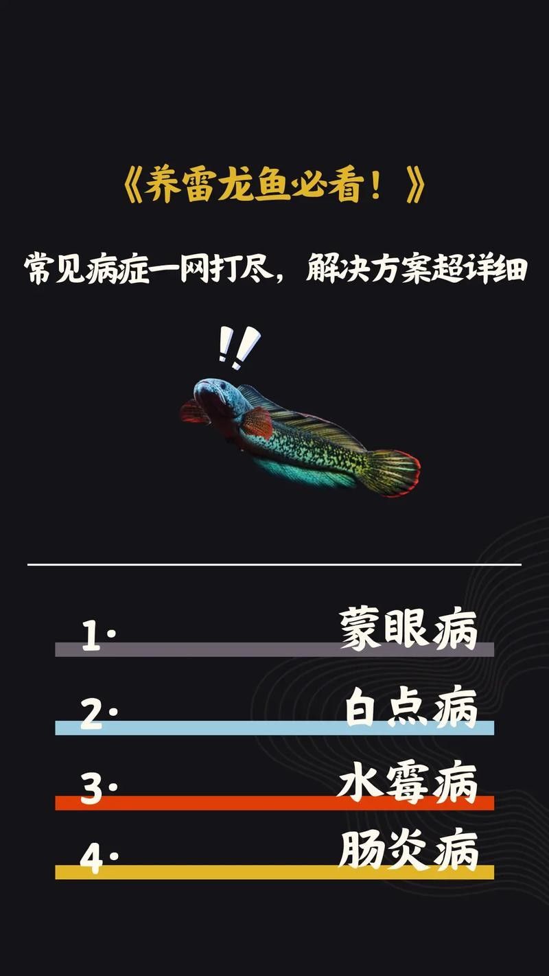 如何預防雷龍魚苗生病？（雷龍魚怎么養揭秘雷龍魚養殖的四大黃金法則）