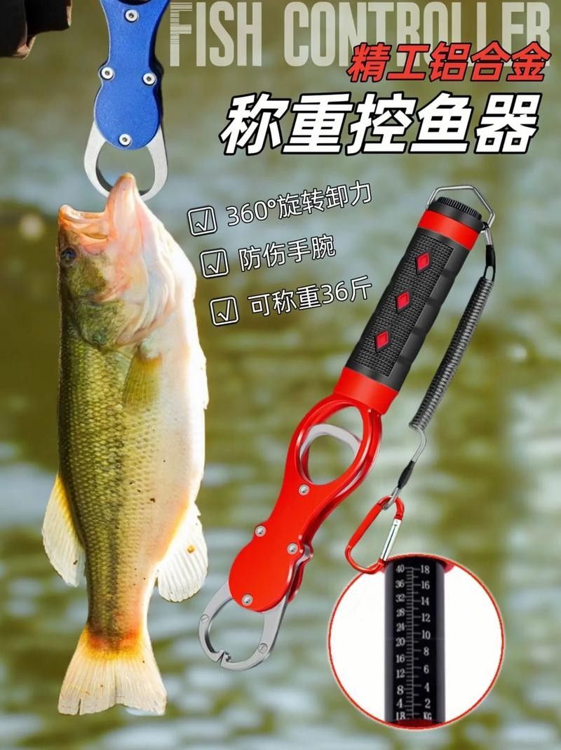 有哪些控魚神器推薦（探索控魚神器：提升釣魚技巧與效率的必備工具）