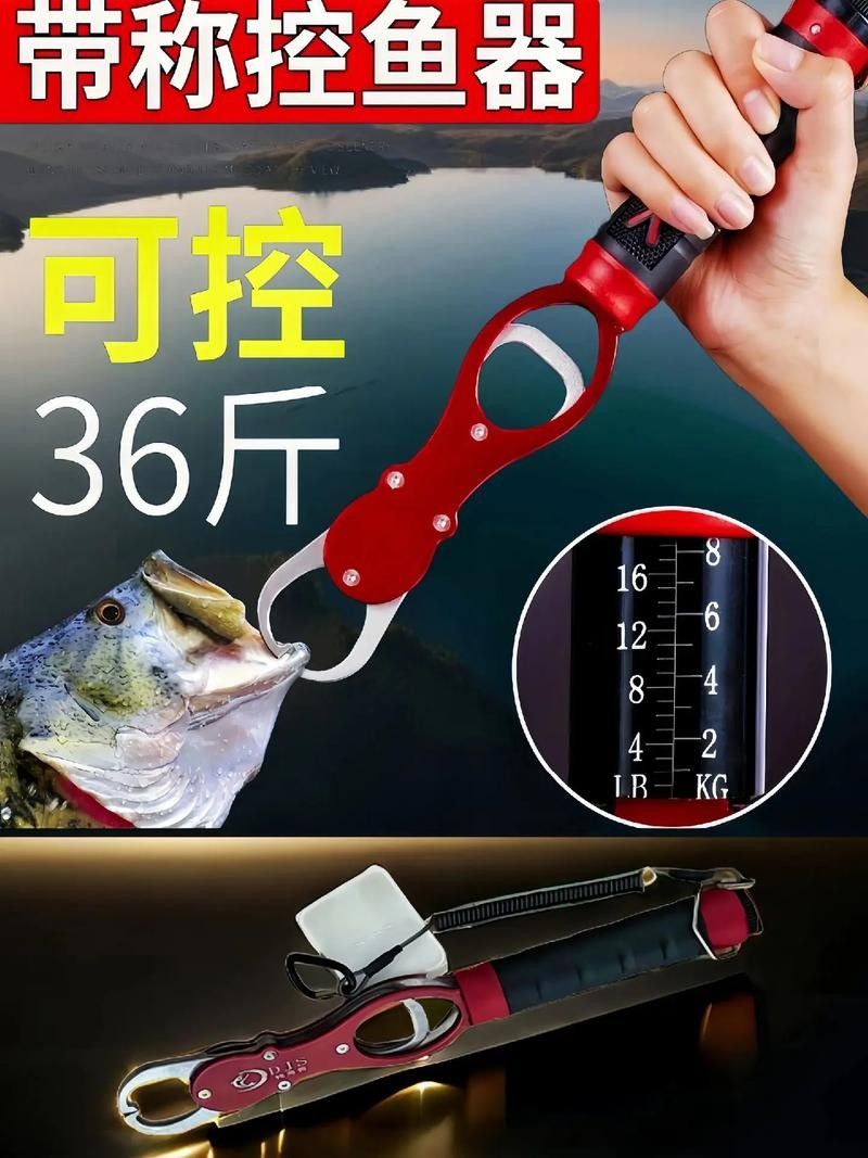 有哪些控魚神器推薦（探索控魚神器：提升釣魚技巧與效率的必備工具）