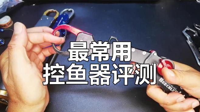 有哪些控魚神器推薦（探索控魚神器：提升釣魚技巧與效率的必備工具）