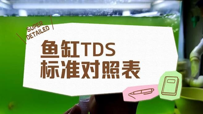 如何檢測博世龍魚缸的水質？（博世龍魚缸水質檢測多少為正常新手必看的關鍵指標）