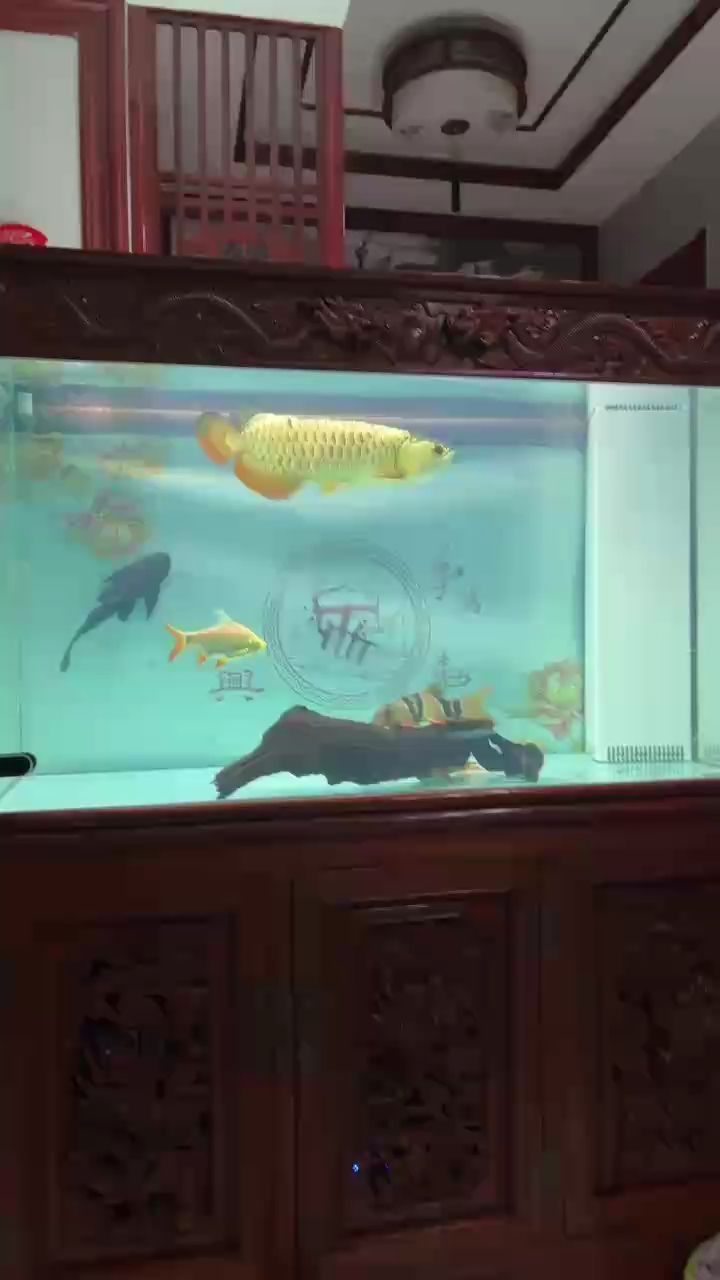 看會（“看會”的奧秘）