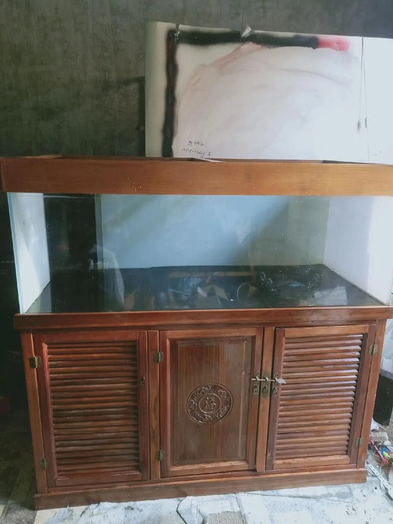 龍魚飼養中哪些過濾設備是可選的（養龍魚用的凈水機怎么選龍魚老孫龍魚繁殖全解析） 龍魚飼養中哪些過濾設備是可選的（養龍魚用的凈水機怎么選龍魚老孫龍魚繁殖全解析） 龍魚百科 第4張