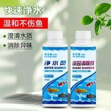 深圳龍魚批發(fā)商推薦