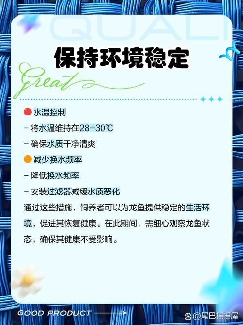 如何預防龍魚晚上撞缸（龍魚夜間撞缸怎么辦）