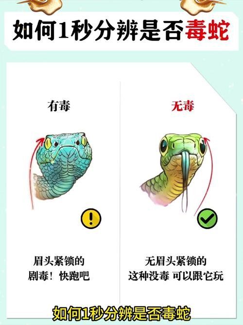 如何辨別口味蛇的真偽？（如何辨別口味蛇的真偽）
