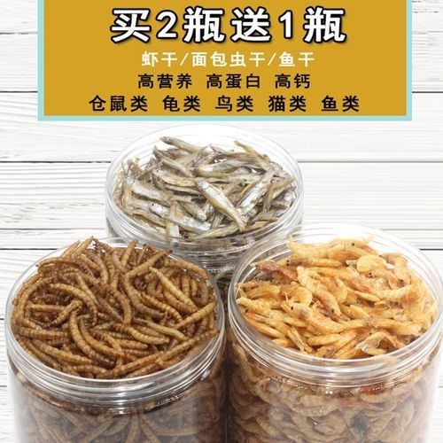 龍魚除了面包蟲干還能吃什么？（龍魚七大必吃食物營養搭配全解析龍魚喂養注意事項）